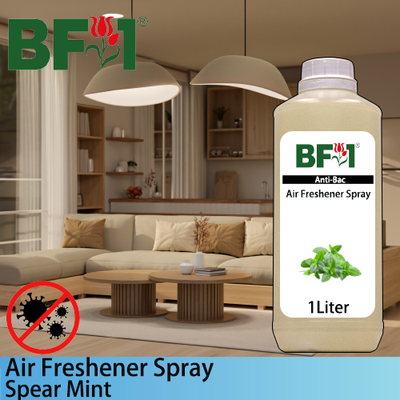 Air Freshener Spray - mint - Spear Mint - 1L