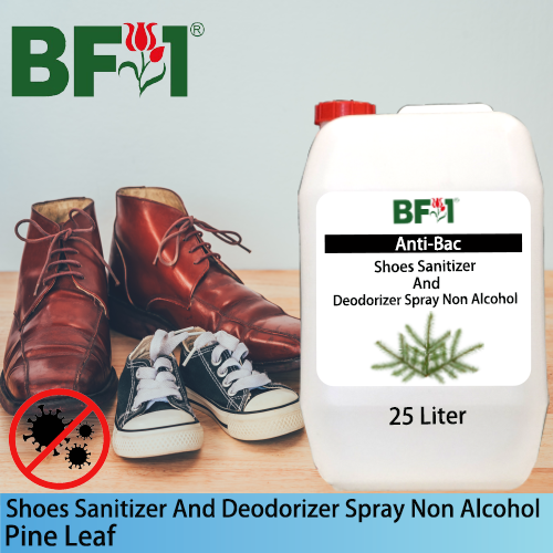 Anti-Bac Shoes Sanitizer and Deodorizer Spray (ABSSD) - Non Alcohol with Pine Leaf - 25L Anti-Bac Shoes Sanitizer and Deodorizer Spray (ABSSD) - Non Alcohol with Pine Leaf - 25L
