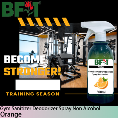 (ABGSD) Orange Anti-Bac Gym Sanitizer Deodorizer Spray - Non Alcohol - 500ml (ABGSD) Orange Anti-Bac Gym Sanitizer Deodorizer Spray - Non Alcohol - 500ml