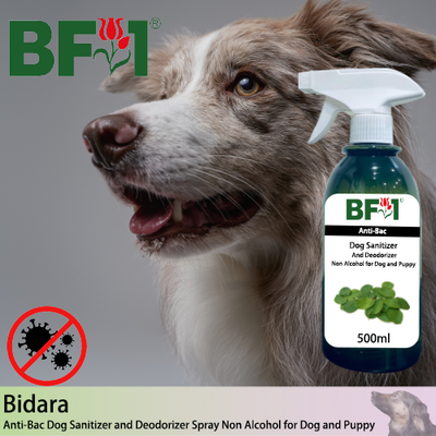 Anti-Bac Dog Sanitizer and Deodorizer Spray (ABPSD-Dog) - Non Alcohol with Bidara - 500ml for Dog and Puppy ⭐⭐⭐⭐⭐