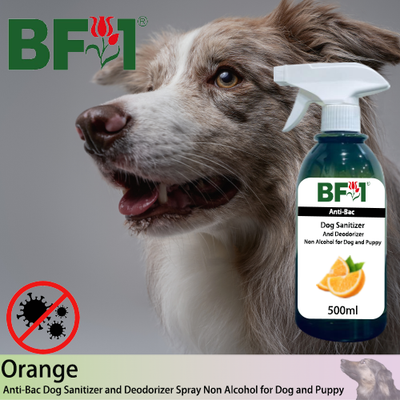 Anti-Bac Dog Sanitizer and Deodorizer Spray (ABPSD-Dog) - Non Alcohol with Orange - 500ml for Dog and Puppy ⭐⭐⭐⭐⭐