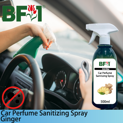 Car Perfume Sanitizing Spray - Ginger - 500ml