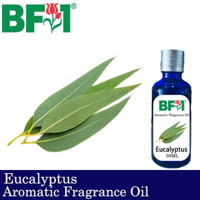 Aromatic Fragrance Oil (AFO) - Eucalyptus - 50ml