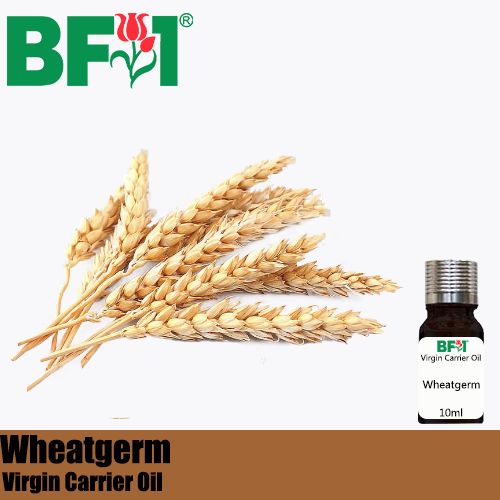 VCO - Wheatgerm Virgin Carrier Oil - 10ml
