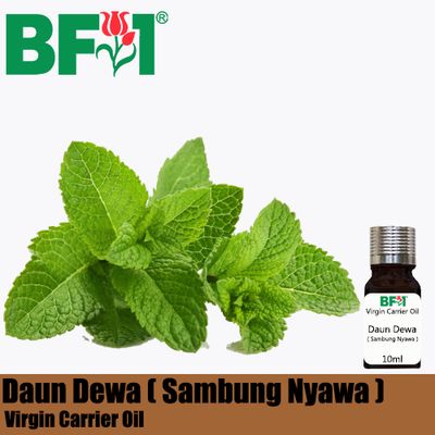 VCO - Daun Dewa ( Sambung Nyawa ) Virgin Carrier Oil - 10ml