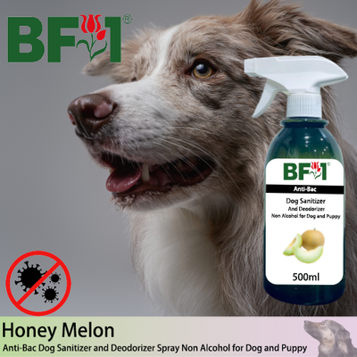 Anti-Bac Dog Sanitizer and Deodorizer Spray (ABPSD-Dog) - Non Alcohol with Honey Melon - 500ml for Dog and Puppy ⭐⭐⭐⭐⭐