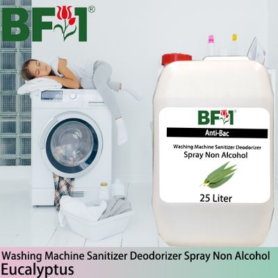 (ABWMSD) Eucalyptus Anti-Bac Washing Machine Sanitizer Deodorizer Spray - Non Alcohol - 25L