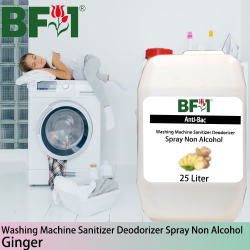 (ABWMSD) Ginger Anti-Bac Washing Machine Sanitizer Deodorizer Spray - Non Alcohol - 25L (ABWMSD) Ginger Anti-Bac Washing Machine Sanitizer Deodorizer Spray - Non Alcohol - 25L