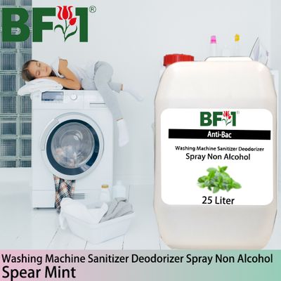(ABWMSD) mint - Spear Mint Anti-Bac Washing Machine Sanitizer Deodorizer Spray - Non Alcohol - 25L