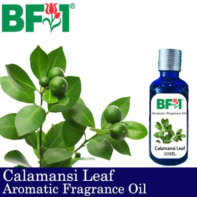 Aromatic Fragrance Oil (AFO) - Calamansi Leaf - 50ml