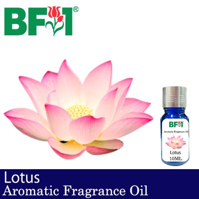 Aromatic Fragrance Oil (AFO) - Lotus - 10ml Aromatic Fragrance Oil (AFO) - Lotus - 10ml