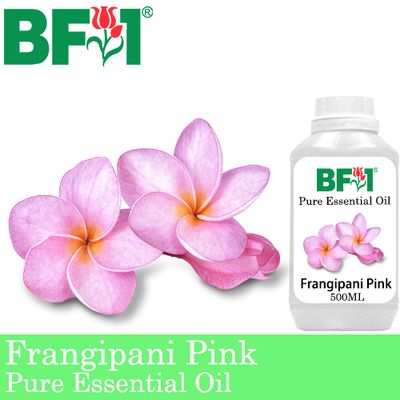 Pure Essential Oil (EO) - Frangipani Pink Essential Oil - 500ml