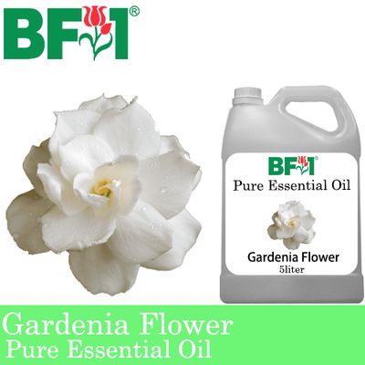 Pure Essential Oil (EO) - Gardenia Flower Essential Oil - 5L