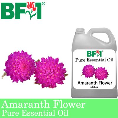 Pure Essential Oil (EO) - Amaranth Flower Essential Oil - 5L