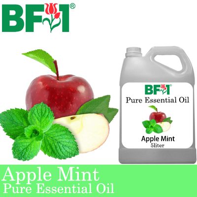 Pure Essential Oil (EO) - Mint - Apple Mint ( Mentha Suaveolens ) Essential Oil - 5L