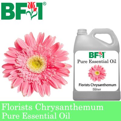 Pure Essential Oil (EO) - Chrysanthemum - Florists Chrysanthemum Essential Oil - 5L
