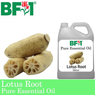 Pure Essential Oil (EO) - Lotus Root Essential Oil - 5L