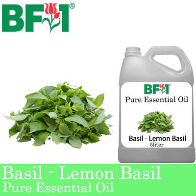 Pure Essential Oil (EO) - Basil - Lemon Basil ( Citriodorum Basil ) Essential Oil - 5L