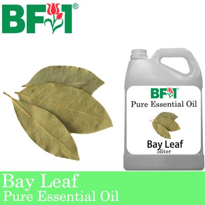 Pure Essential Oil (EO) - Bay Leaf Essential Oil - 5L