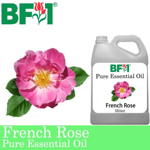 Pure Essential Oil (EO) - Rose - French Rose Essential Oil - 5L