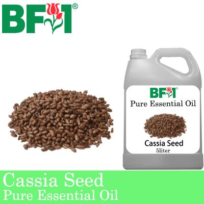 Pure Essential Oil (EO) - Cassia seed Essential Oil - 5L