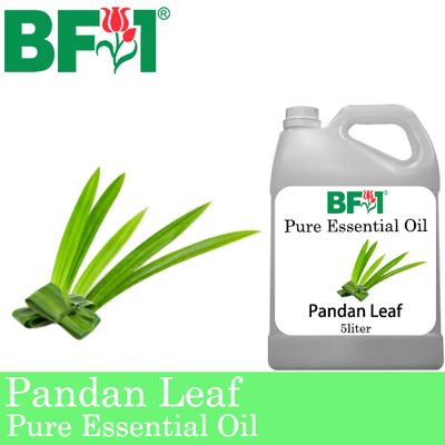 Pure Essential Oil (EO) - Pandan Leaf Essential Oil - 5L
