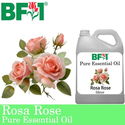 Pure Essential Oil (EO) - Rose - Rosa Rose Essential Oil - 5L