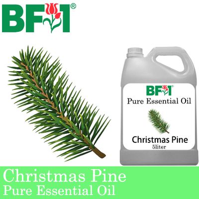 Pure Essential Oil (EO) - Pine - Christmas Pine Essential Oil - 5L