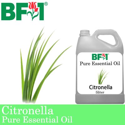 Pure Essential Oil (EO) - Citronella ( Java Citronella ) Essential Oil - 5L