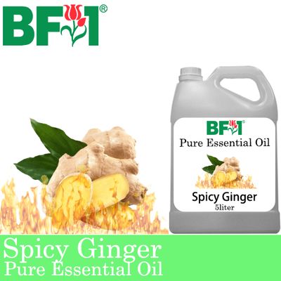 Pure Essential Oil (EO) - Ginger - Spicy Ginger Essential Oil - 5L