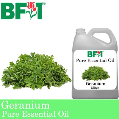 Pure Essential Oil (EO) - Geranium Essential Oil - 5L
