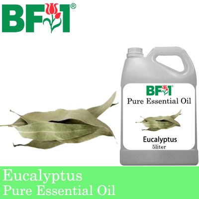 Pure Essential Oil (EO) - Eucalyptus Essential Oil - 5L