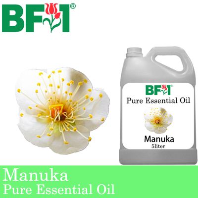 Pure Essential Oil (EO) - Manuka Essential Oil - 5L
