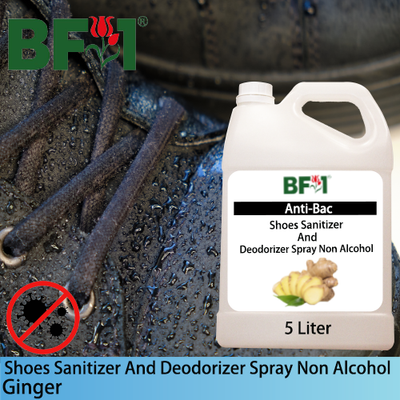 Anti-Bac Shoes Sanitizer and Deodorizer Spray (ABSSD) - Non Alcohol with Ginger - 5L Anti-Bac Shoes Sanitizer and Deodorizer Spray (ABSSD) - Non Alcohol with Ginger - 5L
