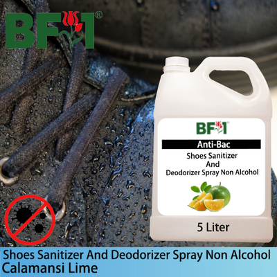 Anti-Bac Shoes Sanitizer and Deodorizer Spray (ABSSD) - Non Alcohol with lime - Calamansi Lime - 5L Anti-Bac Shoes Sanitizer and Deodorizer Spray (ABSSD) - Non Alcohol with lime - Calamansi Lime - 5L