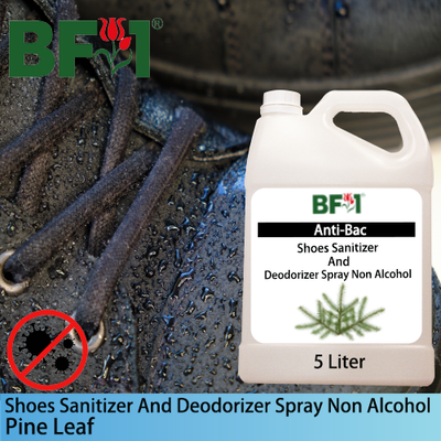 Anti-Bac Shoes Sanitizer and Deodorizer Spray (ABSSD) - Non Alcohol with Pine Leaf - 5L Anti-Bac Shoes Sanitizer and Deodorizer Spray (ABSSD) - Non Alcohol with Pine Leaf - 5L