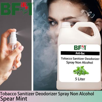 (ABTSD1) mint - Spear Mint Anti-Bac Tobacco Sanitizer Deodorizer Spray - Non Alcohol - 5L (ABTSD1) mint - Spear Mint Anti-Bac Tobacco Sanitizer Deodorizer Spray - Non Alcohol - 5L