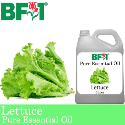 Pure Essential Oil (EO) - Lettuce Essential Oil - 5L
