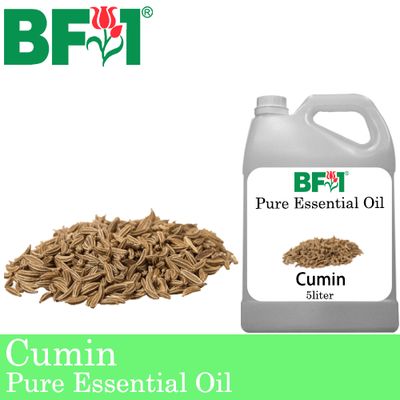 Pure Essential Oil (EO) - Cumin Essential Oil - 5L
