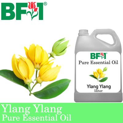 Pure Essential Oil (EO) - Ylang Ylang Essential Oil - 5L