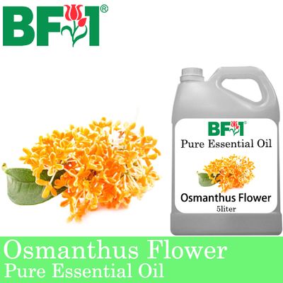 Pure Essential Oil (EO) - Osmanthus Flower Essential Oil - 5L