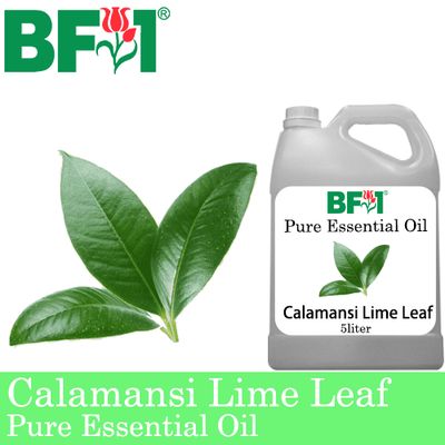 Pure Essential Oil (EO) - Lime - Calamansi Lime Leaf Essential Oil - 5L