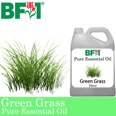 Pure Essential Oil (EO) - Green Grass Essential Oil - 5L