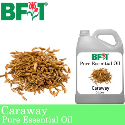Pure Essential Oil (EO) - Caraway Essential Oil - 5L