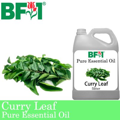 Pure Essential Oil (EO) - Curry Leaf Essential Oil - 5L