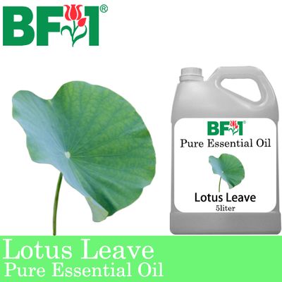 Pure Essential Oil (EO) - Lotus Leave Essential Oil - 5L