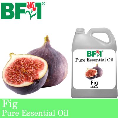 Pure Essential Oil (EO) - Fig Essential Oil - 5L