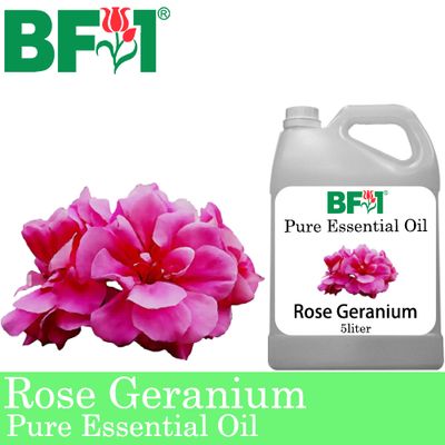 Pure Essential Oil (EO) - Geranium - Rose Geranium Essential Oil - 5L