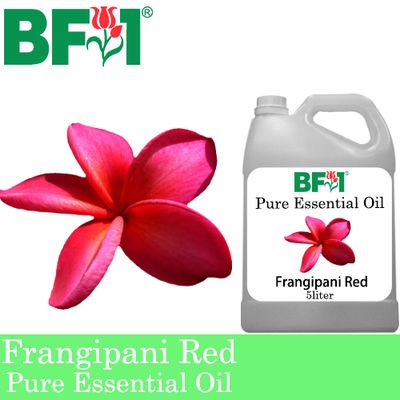 Pure Essential Oil (EO) - Frangipani Red Essential Oil - 5L