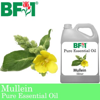 Pure Essential Oil (EO) - Mullein Essential Oil - 5L